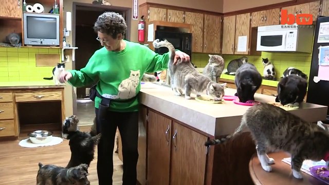 Elle vit avec plus de 1100 chats chez elle!