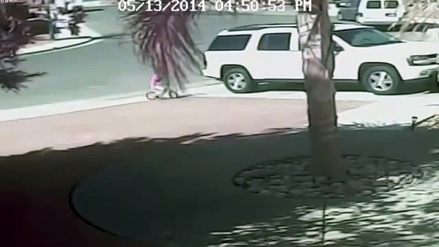 Кот спас 4-х летнего ребенка от нападения собаки! Ставь класс этому коту