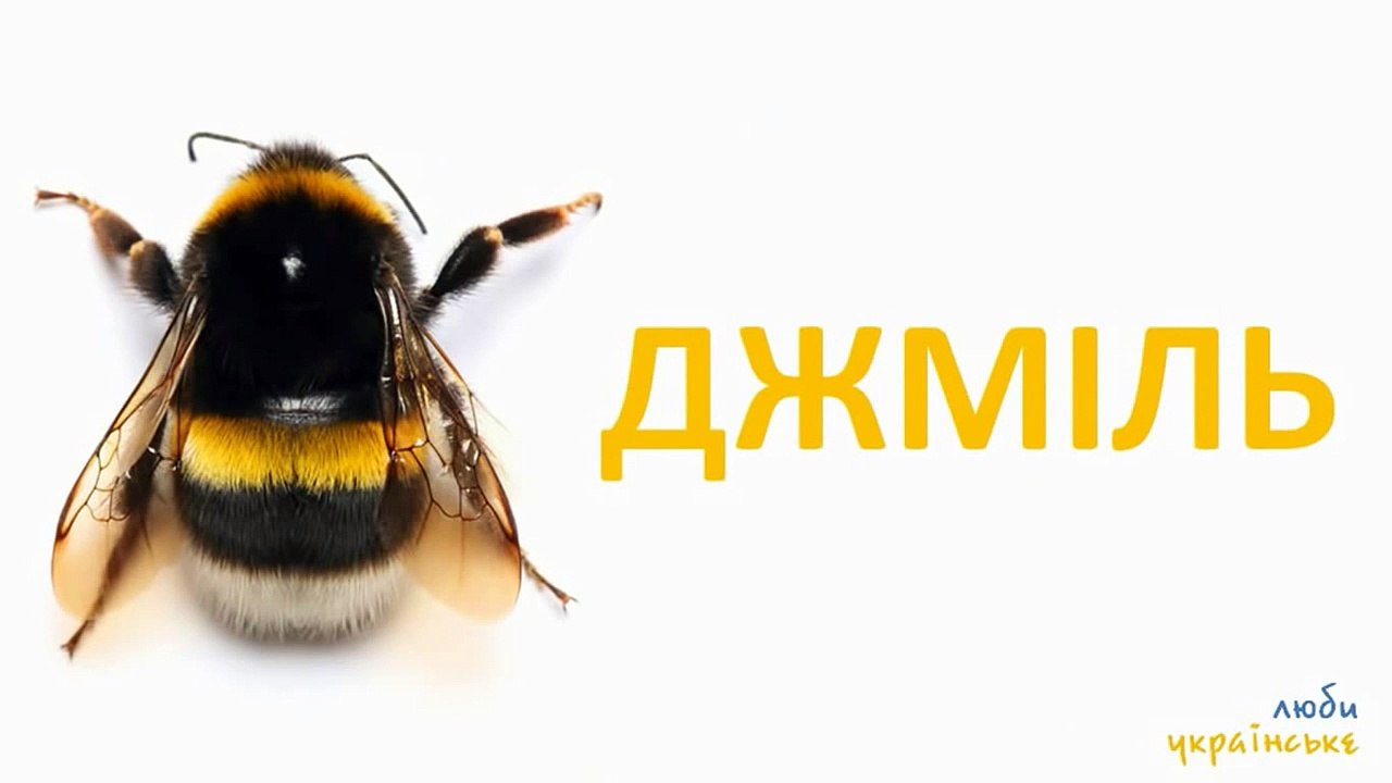 Розвиваючий мультфільм для малят про твари та к...