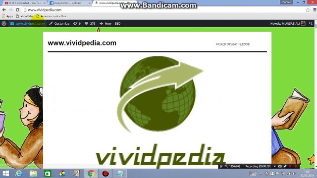 Best Youtube Widget Responsive Plugin for your wordpress website