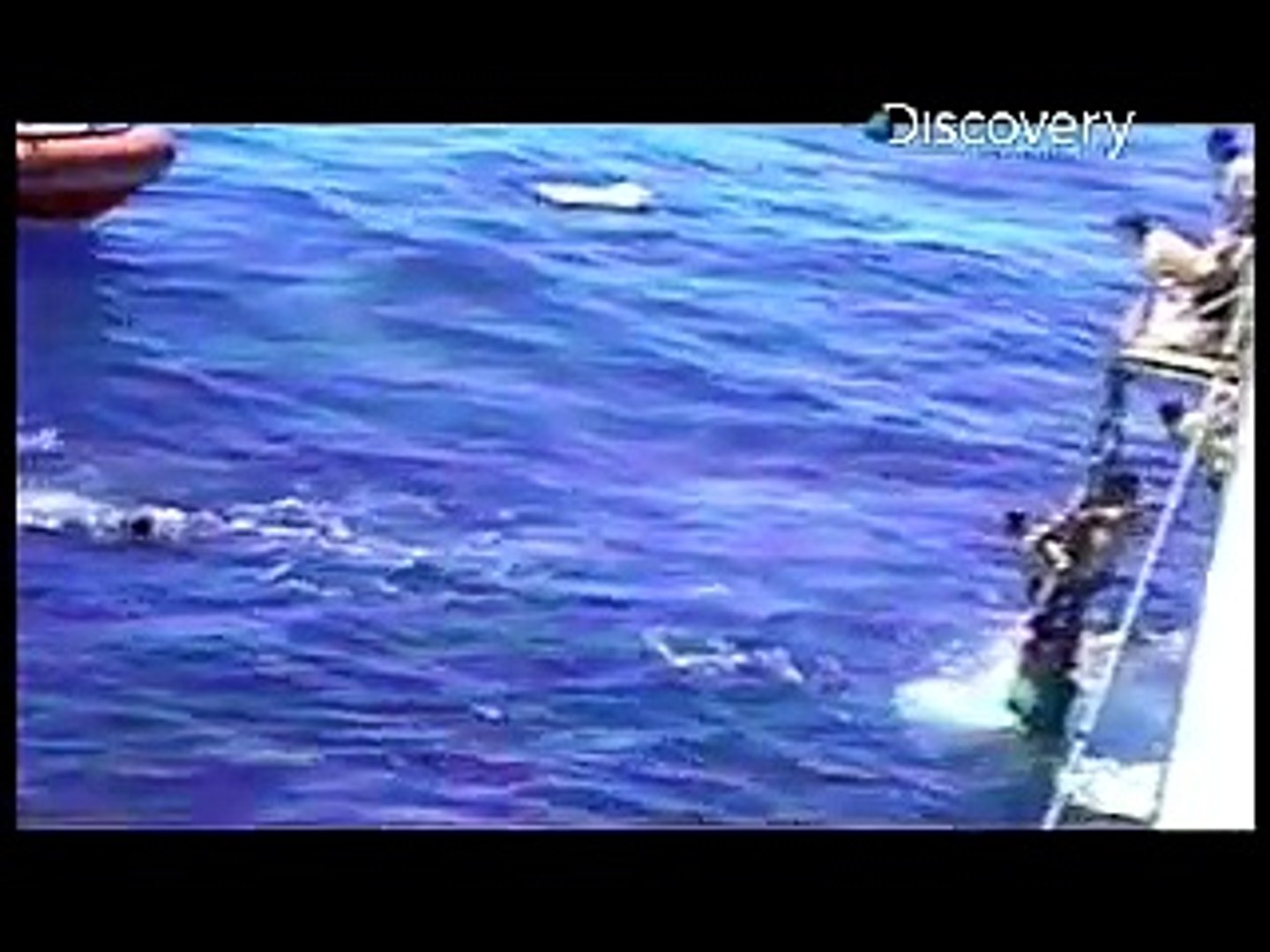 Girl Attacked By Shark! - Shark Week - YouTube