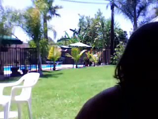 Gentil toutou ! A cute dog ! The story of a roe deer.