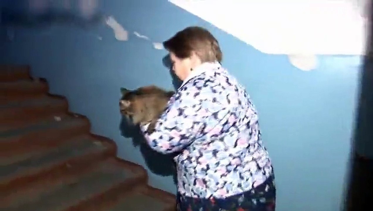 Ce chat a gardé au chaud un bébé abandonné pendant plusieurs heures et il lui a sauvé la vie !