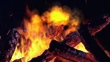 L'amitié (chanson de F.Hardy - cover))