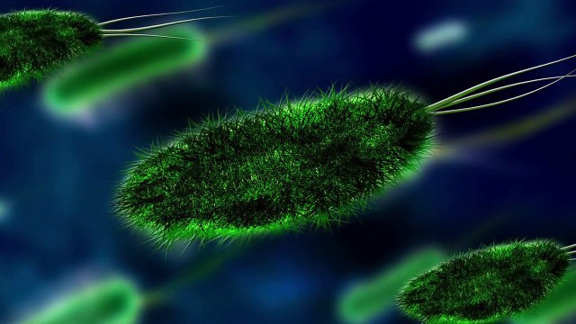 Малоизвестные факты о человеке. Интересные факты