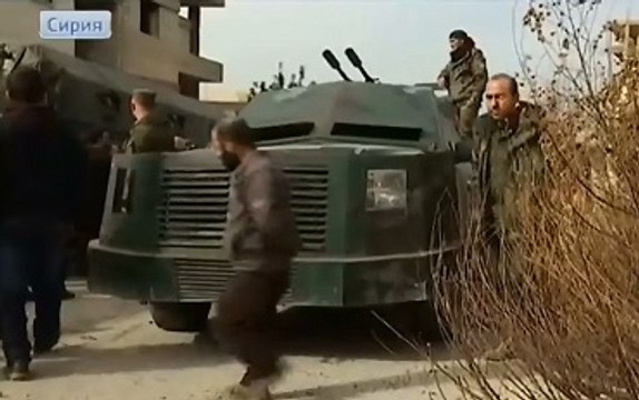 Представители западных СМИ посетили освобожденную Сальму