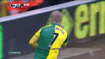 Steven Naismith GOAL | Norwich 2-1 Liverpool