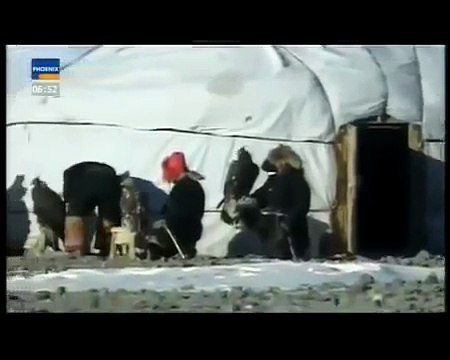 Kartalın Kurt Avı İnanılmaz...