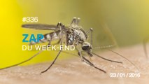 ZAP DU WEEK-END #336 : Elimination d'un moustique au laser !