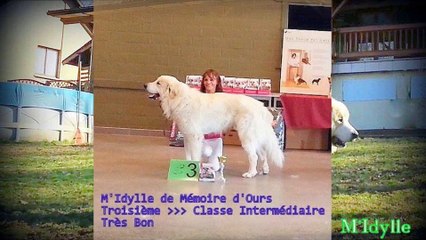 Diaporama 2016-01-12