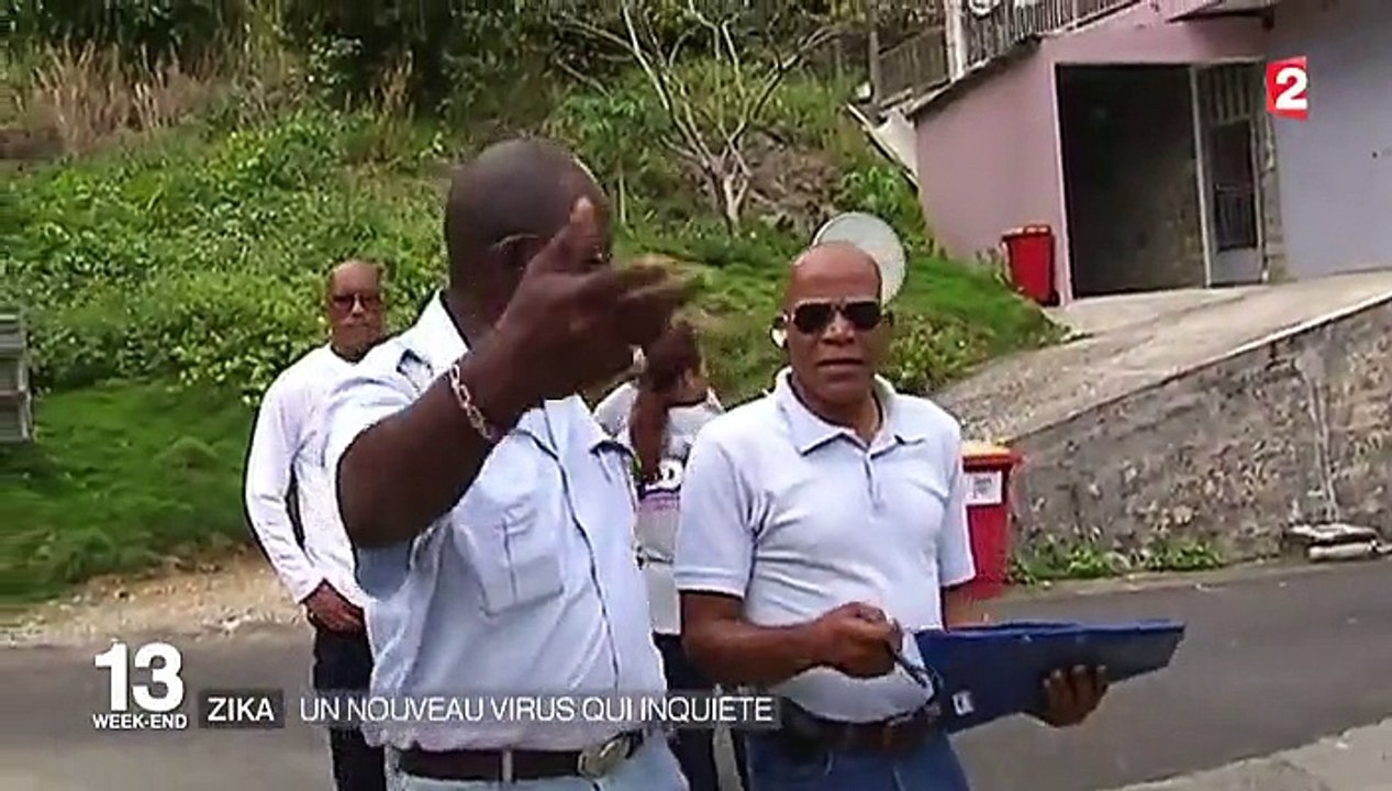 Zika, le nouveau virus qui inquiète les Antilles et l'Amérique du Sud