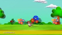 Learn English Birds Names   3D Animation Preschool Nursery rhymes for children