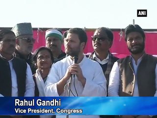 Why has no action been taken against Hyderabad university VC: Rahul Gandhi