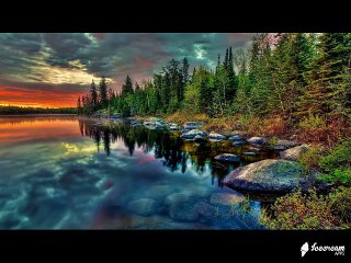 Ye Dunya Dhukay Ka Ghar Hai  Maulana Tariq Jameel