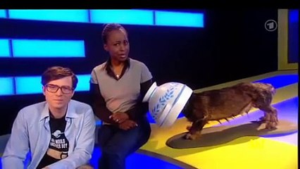 Wissen macht Ah! - Fantastische Reise