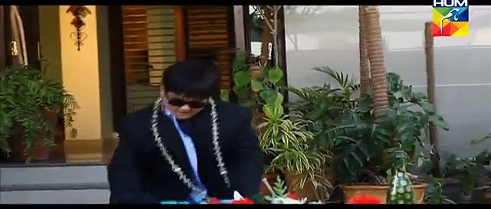 Mr Shamim Episode 45 Full Hum TV Drama 23 Jan 2016