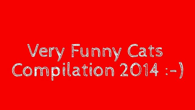 Смешные Ролики про Кошек нарезка