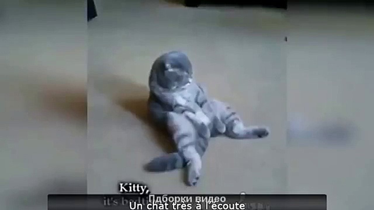 Смешные. Короткие. Приколы.104