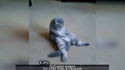 Смешные. Короткие. Приколы.104