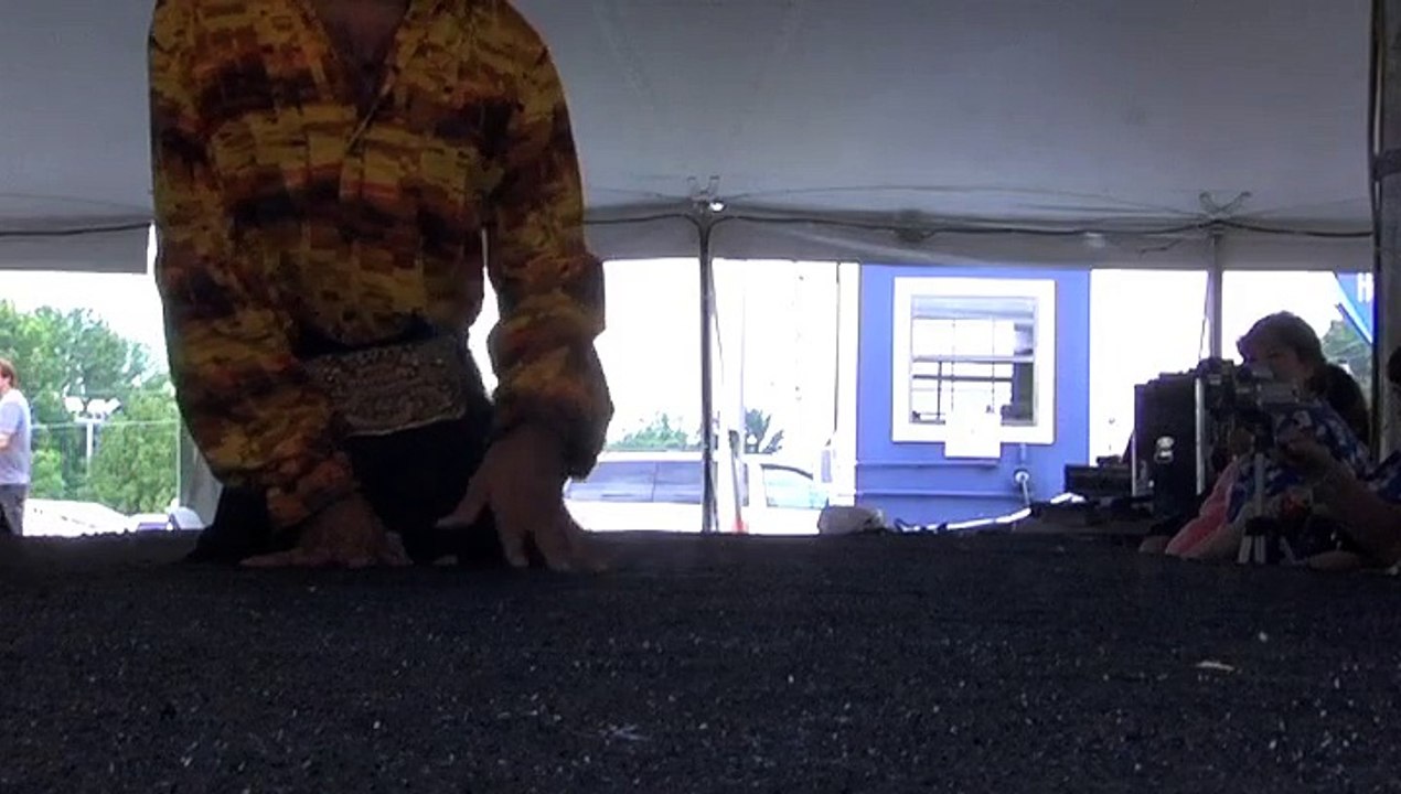 Danny Frasier sings 'Walk A Mile In My Shoes' Elvis Week 2011