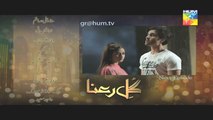 Gul E Rana Episode 13 Promo HUM TV Drama 23 January 2016
