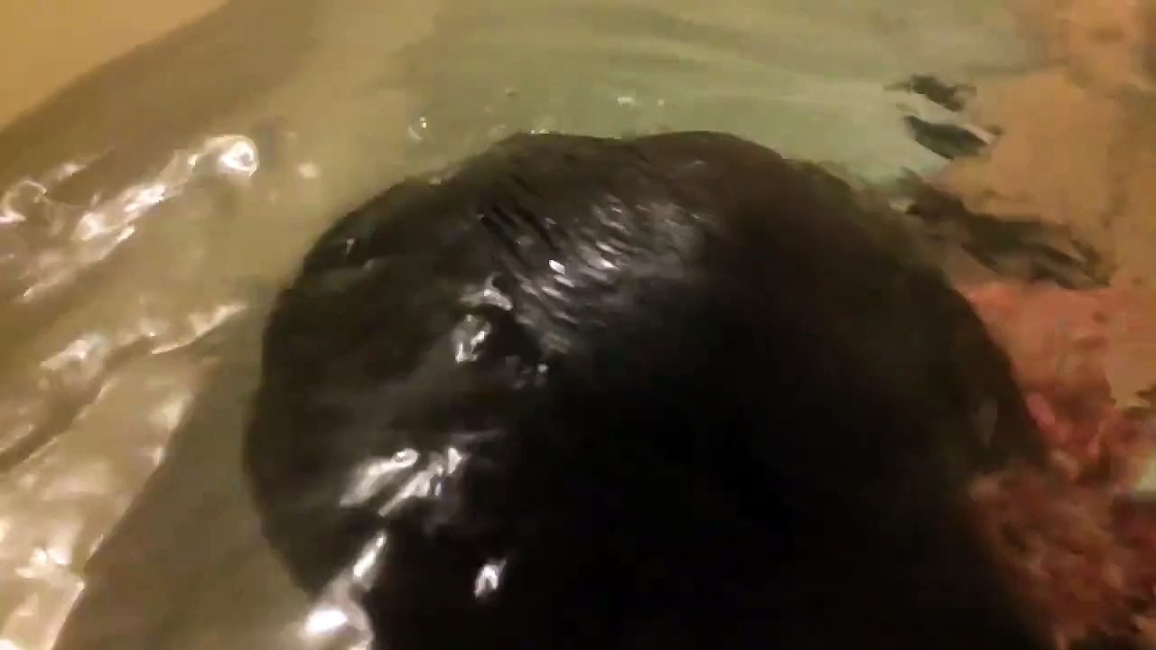 Bath time with cute utter...