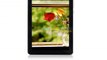 Original factory low price 3G wcdma gsm dual sim dual core 4G rom 512mb ram 7 inch tablet phone phablet celulares-in Tablet PCs from Computer