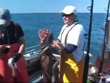 Alaska Fishing. Monster Halibut, fishing with Saltwater Safari out of Seward Alaska