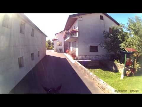 Funny Animals Compilation Animal Videos 2015 Horses Mating Up Close And Hard For A Long Time