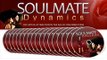 Attracting a Soulmate - soulmate dynamics