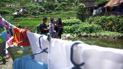 Les Rizieres Celestes Des Philippines