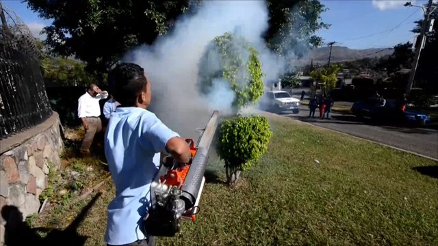 تأجيل الحمل لتفادي خطر زيكا على الأجنة