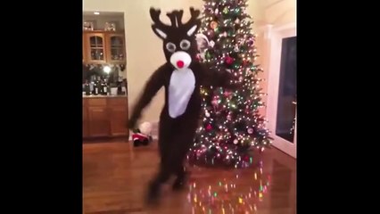 Try not to laugh or grin challenge - Funny videos 2016 - Funny pranks funny fails