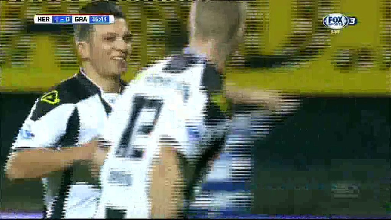Darri B. Goal HD - Heracles 1-0 Graafschap - 23-01-2016