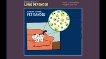 Arthur Buster Baxter Lung Defender Cartoon Animation PBS Kids Game Play Walkthrough
