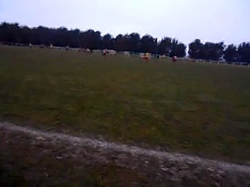 U15 - Paray