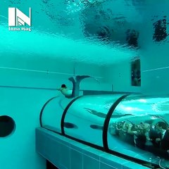 Akvaryumda Muhteşem Deniz Kızı Dansı