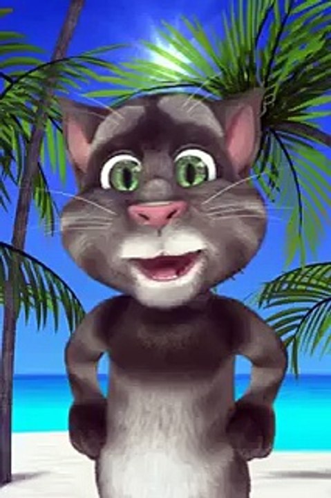 Tom Cat in Dubai .mp4