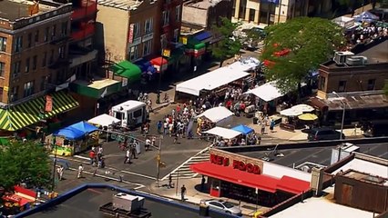 The Human Family Tree HD