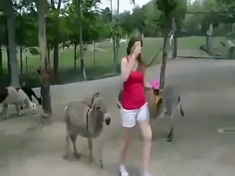See what donkey do with girl