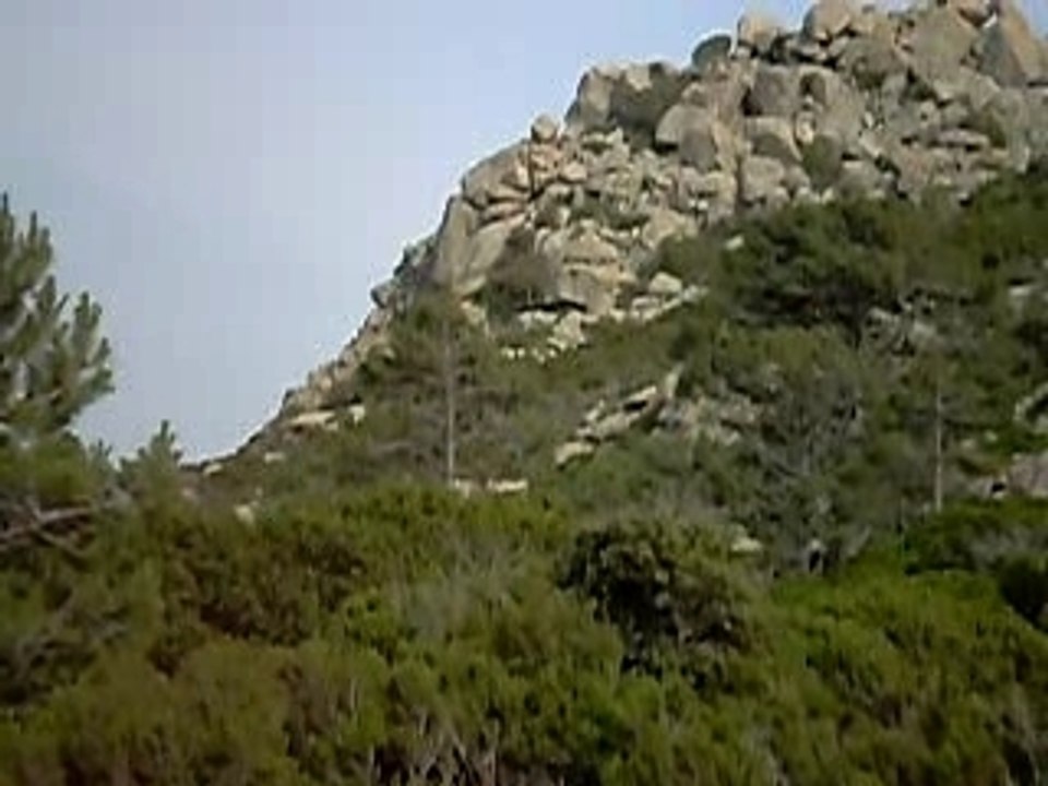 punta muzza