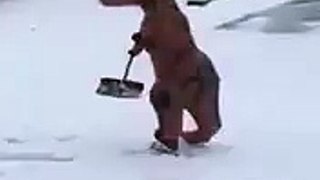 [Funny - Must Watch] Neighbor Shoveling Snow in a T-Rex Costume
