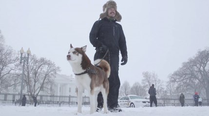 &apos;Snowzilla&apos; can&apos;t stop these people from visiting the White House