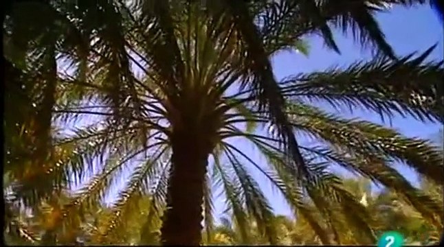 Irán detrás del velo Paraísos cercanos Documentales en español hd