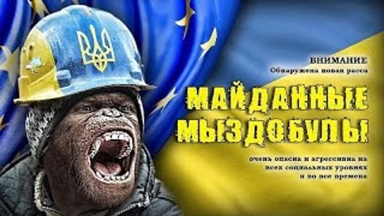 Приколы про Украину №4