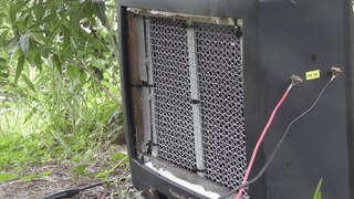 Exploding Wasps !! The IZ 5600 Wasp Zapper