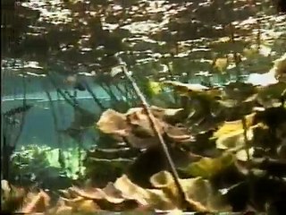 Contrabando de esmeraldas (1993)