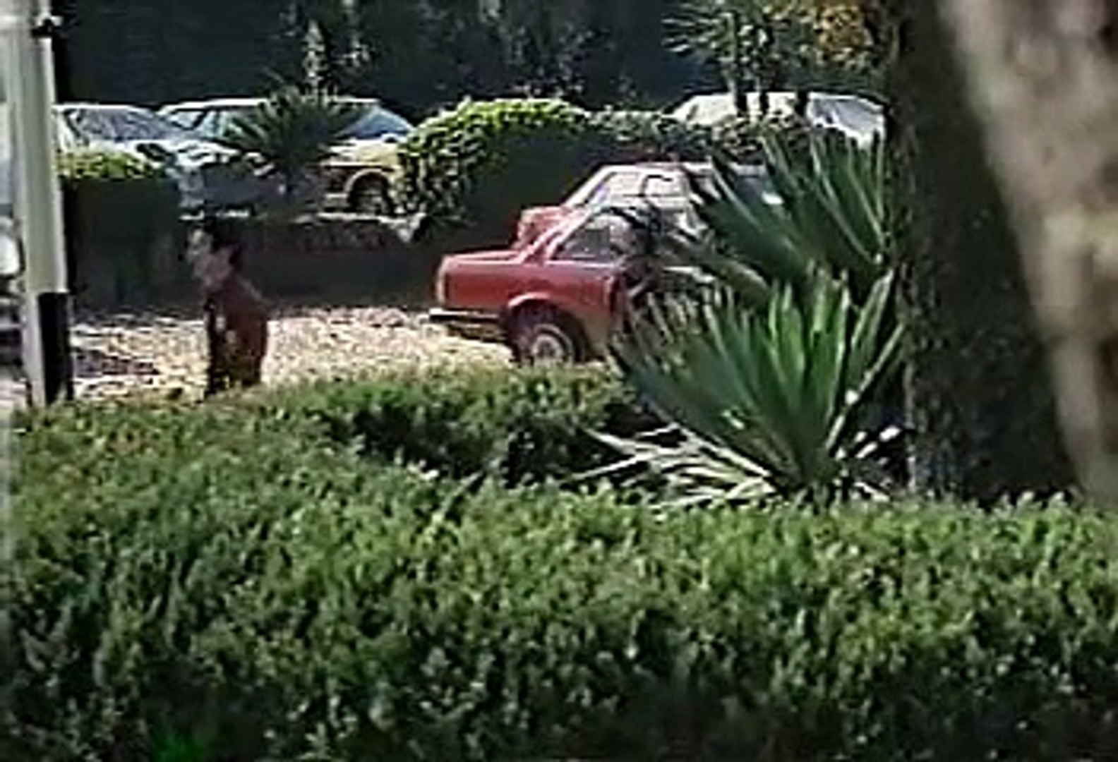 マルサの女2 ー 伊丹 十三 - video Dailymotion マルサの女2 ー 伊丹 十三 - video Dailymotion