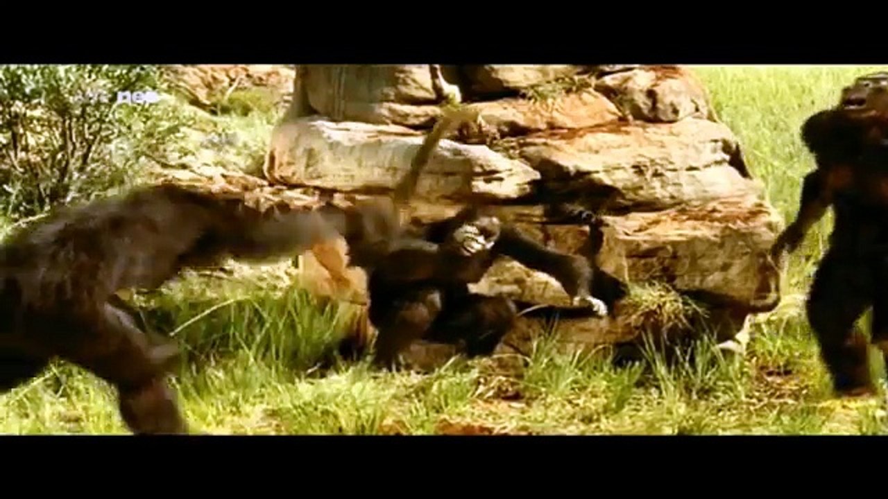 1 Geheimnis Mensch Die Kinder des Feuers