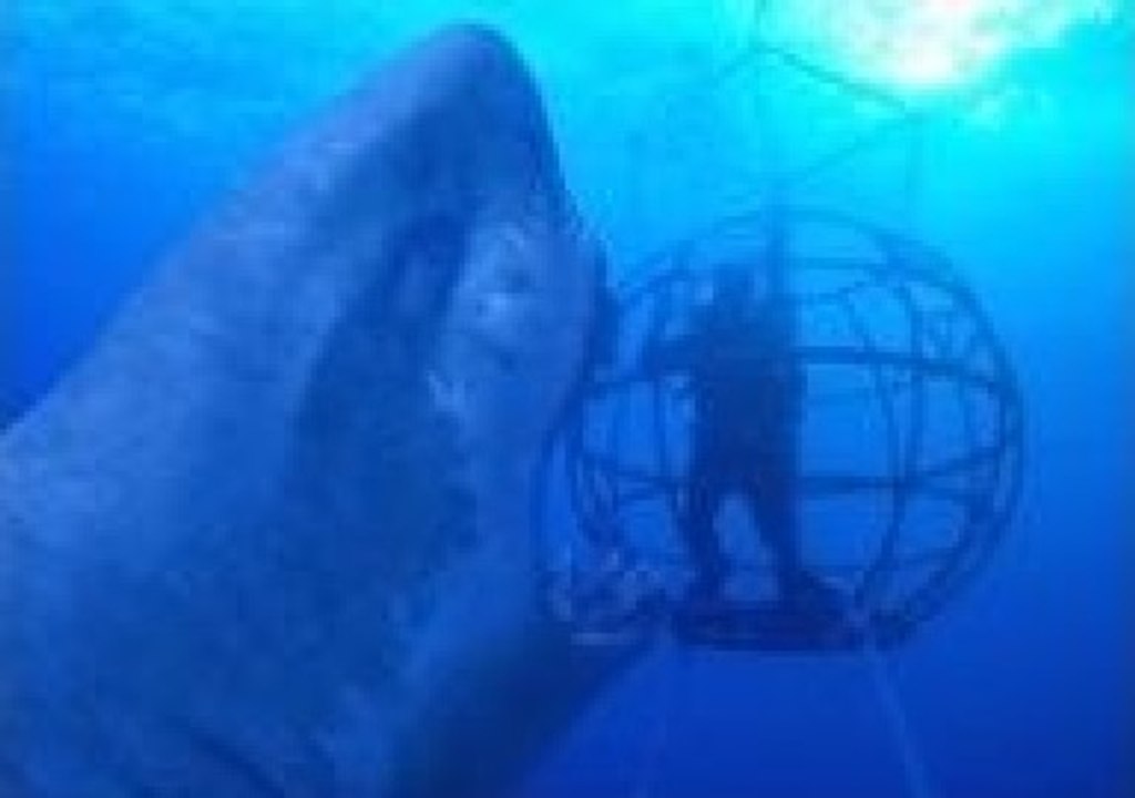 Real GIANT MEGALODON Found! - The BIGGEST Shark Ever - video Dailymotion